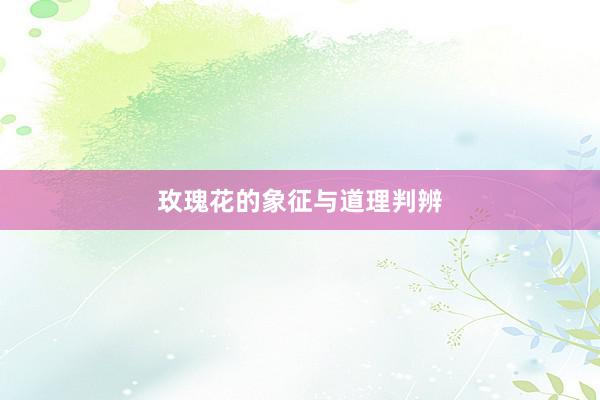 玫瑰花的象征与道理判辨